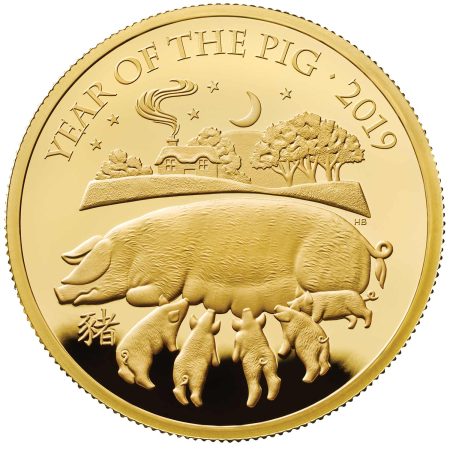 Lunar Year of the Pig